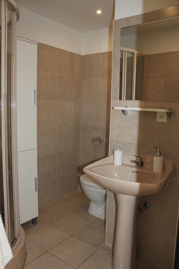 Apartmán Viktorie Frýdek-Místek Exteriér fotografie